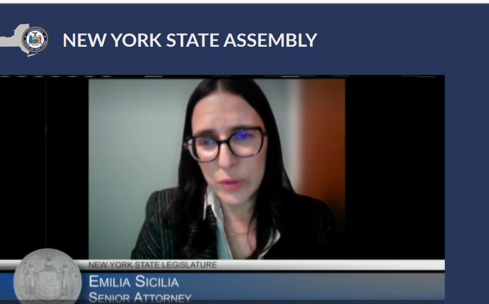 Emilia Sicilia delivering virtual testimony to the Human Services Budget Hearing.