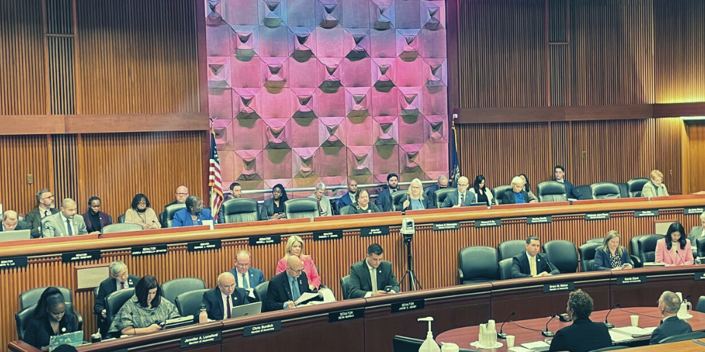 NYS Legislators attending the Human Services Budget Committee Hearing 2023