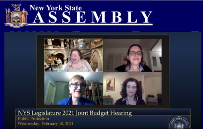 Screencap of Kristin Brown giving virtual testimony at the 2021 Public Protection Budget Hearing.