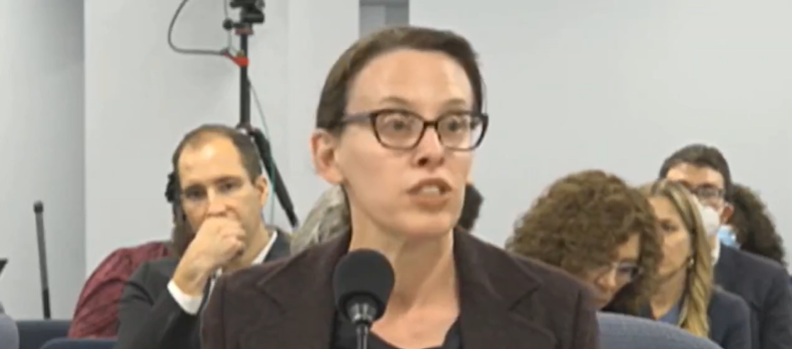 Photo of Jessica Radbord giving testimony before members of the Assembly in NYC. She is a white woman with brown hair and glasses.