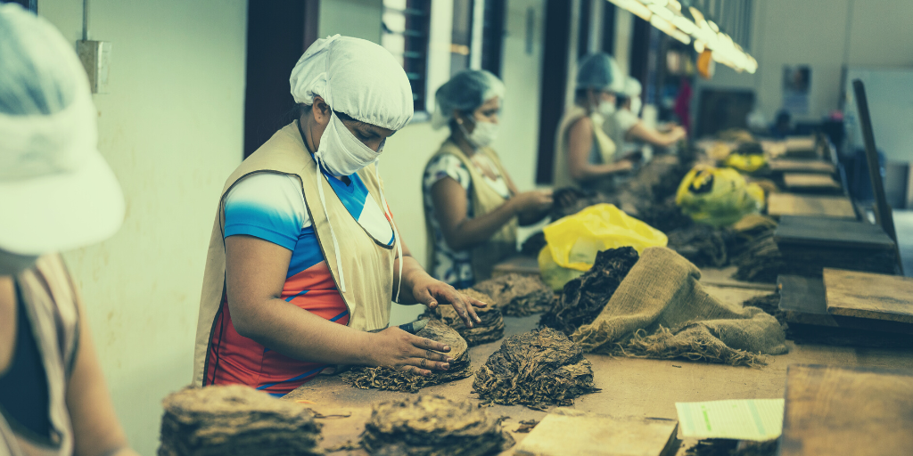 Group of Latina women working in a facility